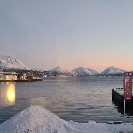 勒丁恩Aurora Harbour House别墅 外观 照片