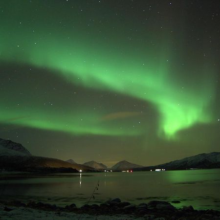 勒丁恩Aurora Harbour House别墅 外观 照片